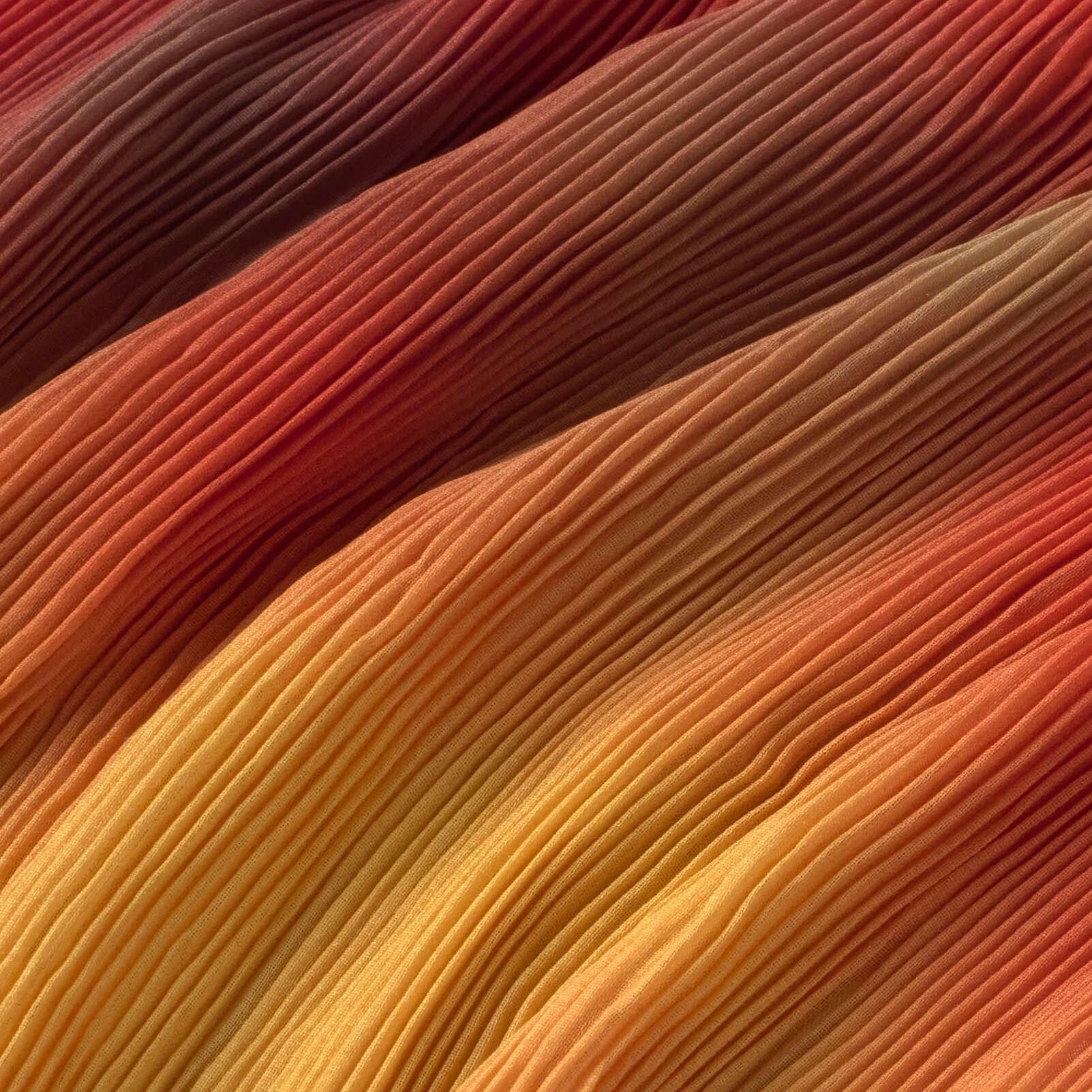 Marin et Marine THINKING MU Dora Top